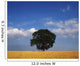 Oak Tree In A Barley Field Wall Mural
