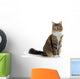 Cat Wall Decal