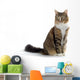 Cat Wall Decal