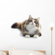 kitten Wall Decal