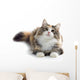kitten Wall Decal