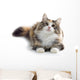 kitten Wall Decal