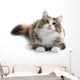 kitten Wall Decal