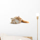 Red Cat Wall Decal