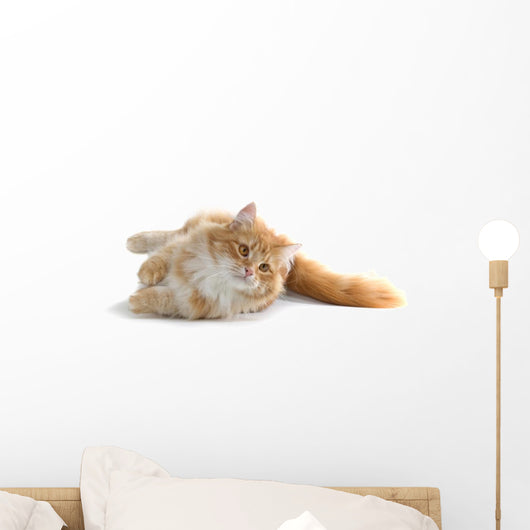 Red Cat Wall Decal