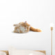 Red Cat Wall Decal
