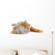 Red Cat Wall Decal