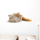 Red Cat Wall Decal