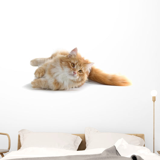 Red Cat Wall Decal