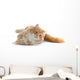 Red Cat Wall Decal