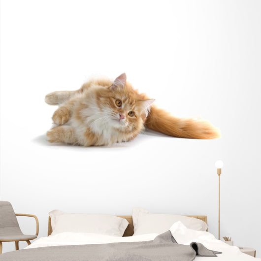 Red Cat Wall Decal
