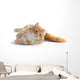 Red Cat Wall Decal