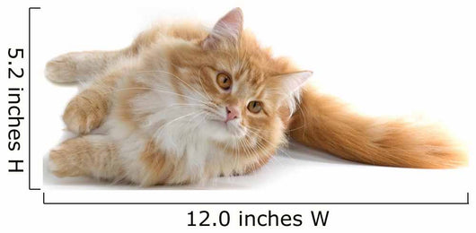 Red Cat Wall Decal