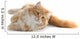 Red Cat Wall Decal