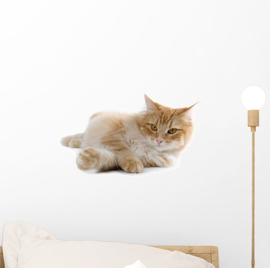 Cat Wall Decal