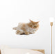 Cat Wall Decal