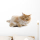 cat Wall Decal