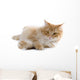 cat Wall Decal