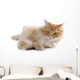 cat Wall Decal