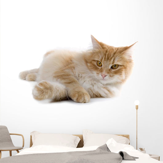 cat Wall Decal