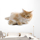 cat Wall Decal