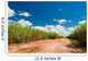 Road for the Sugar Cane Field Wall Mural