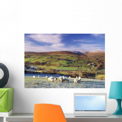 Sperrin Mountains County Tyrone Wall Mural shown on a wall