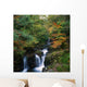 Torc Waterfall, Ireland,Co Kerry Wall Mural