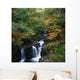 Torc Waterfall, Ireland,Co Kerry Wall Mural