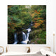 Torc Waterfall, Ireland,Co Kerry Wall Mural