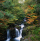 Torc Waterfall, Ireland,Co Kerry Wall Mural