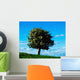 White Hawthorn Tree Wall Mural