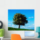 White Hawthorn Tree Wall Mural