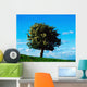 White Hawthorn Tree Wall Mural