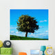White Hawthorn Tree Wall Mural