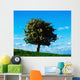 White Hawthorn Tree Wall Mural