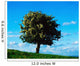 White Hawthorn Tree Wall Mural