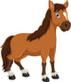 Cute Horse Cartoon Wall Decal
