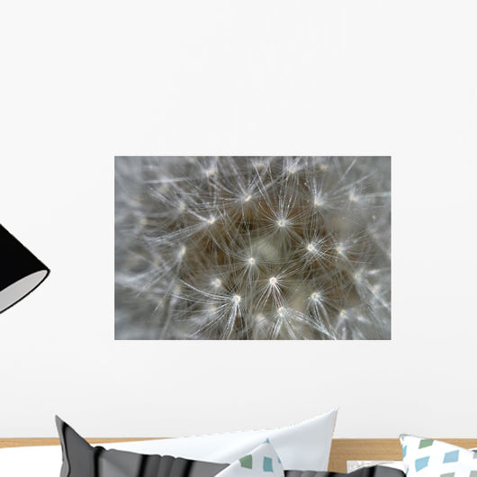 Dandelion Wall Mural