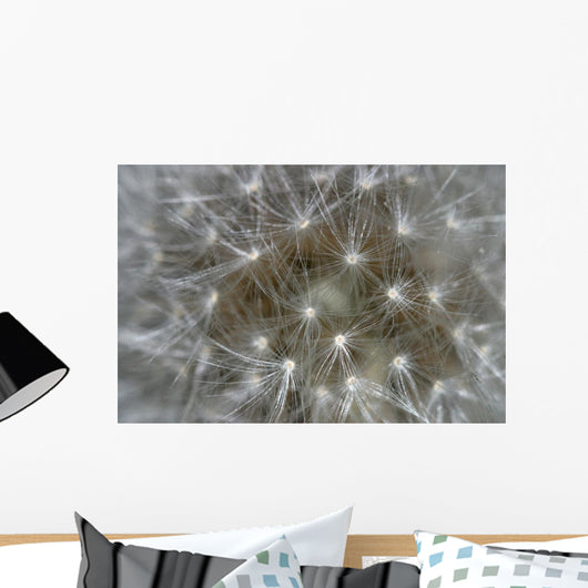 Dandelion Wall Mural