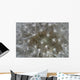 Dandelion Wall Mural