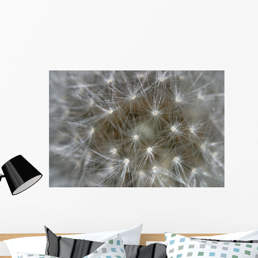 Dandelion Wall Mural