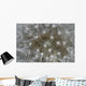 Dandelion Wall Mural