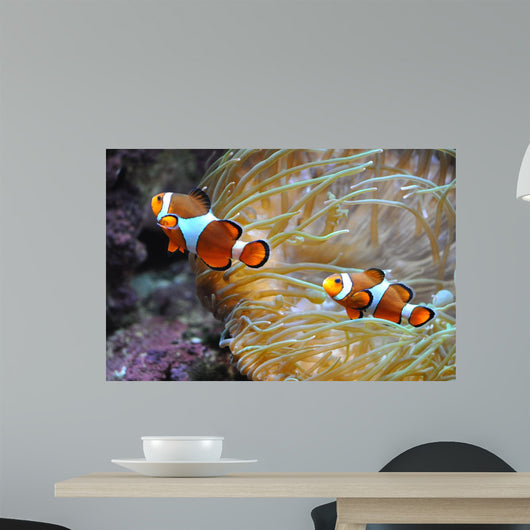 Nemo