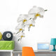 Orchid White and Purity Wall Decal