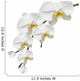 Orchid White and Purity Wall Decal