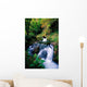 Waterfall In The Woods, Ireland Wall Mural