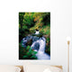 Waterfall In The Woods, Ireland Wall Mural