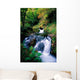 Waterfall In The Woods, Ireland Wall Mural