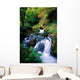 Waterfall In The Woods, Ireland Wall Mural